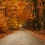 Why oxygen is our secret weapon for autumn resilience