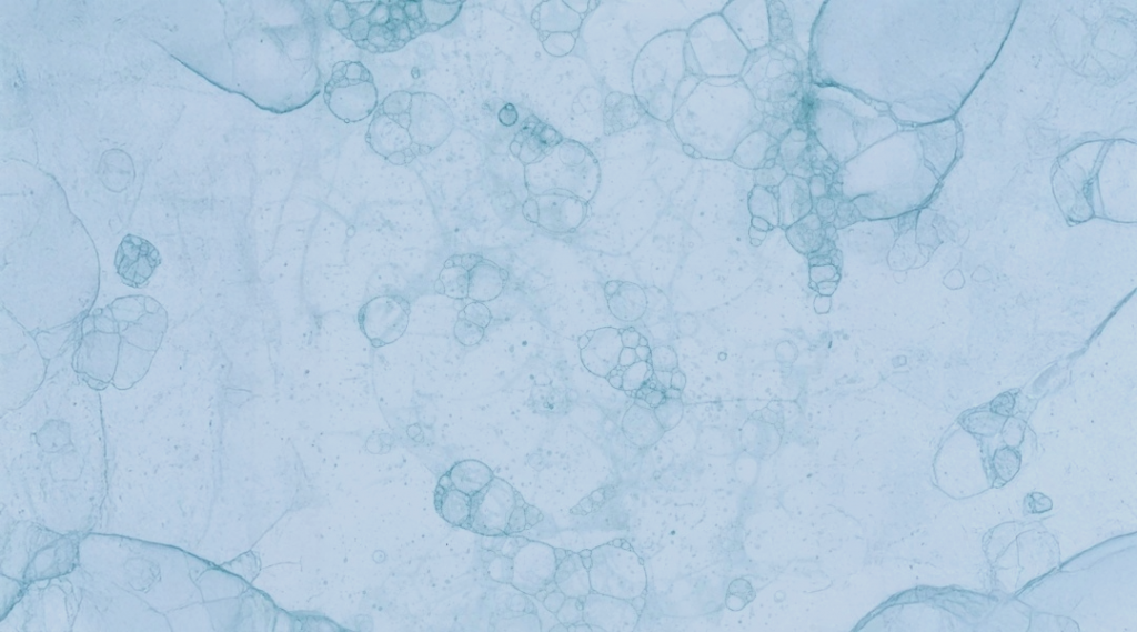 How detoxes effect cellular repair