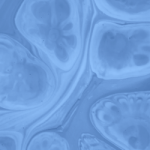 Abstract blue cellular pattern representing mitochondria and energy production in the body