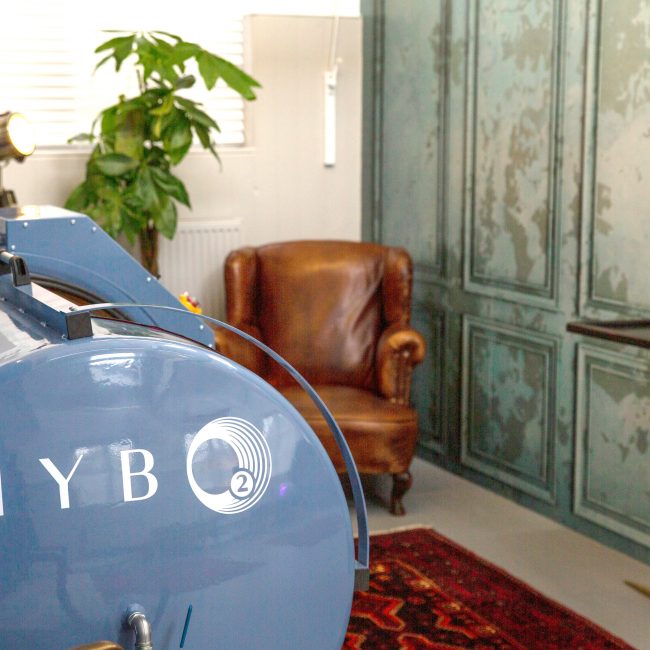 A view of one of the HybO2 hyperbaric chambers