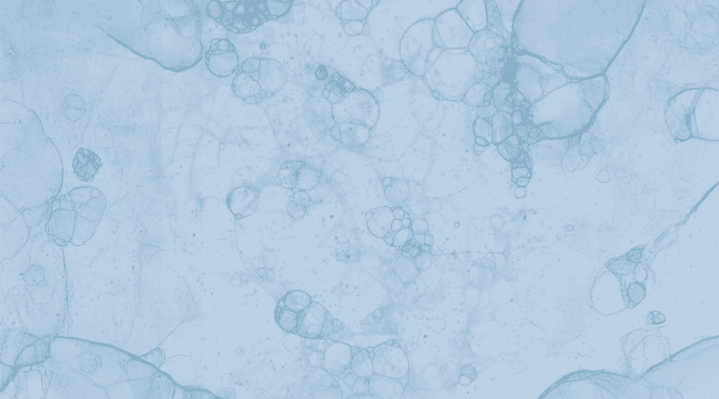 How detoxes effect cellular repair