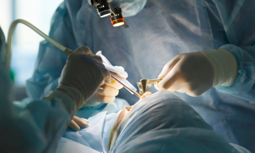 Surgeons performing a surgical procedure in an operating theatre